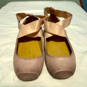 Little Pink Ballet Slipper shoes.
